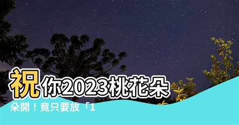 牌照吉數 2023桃花位在洗手間